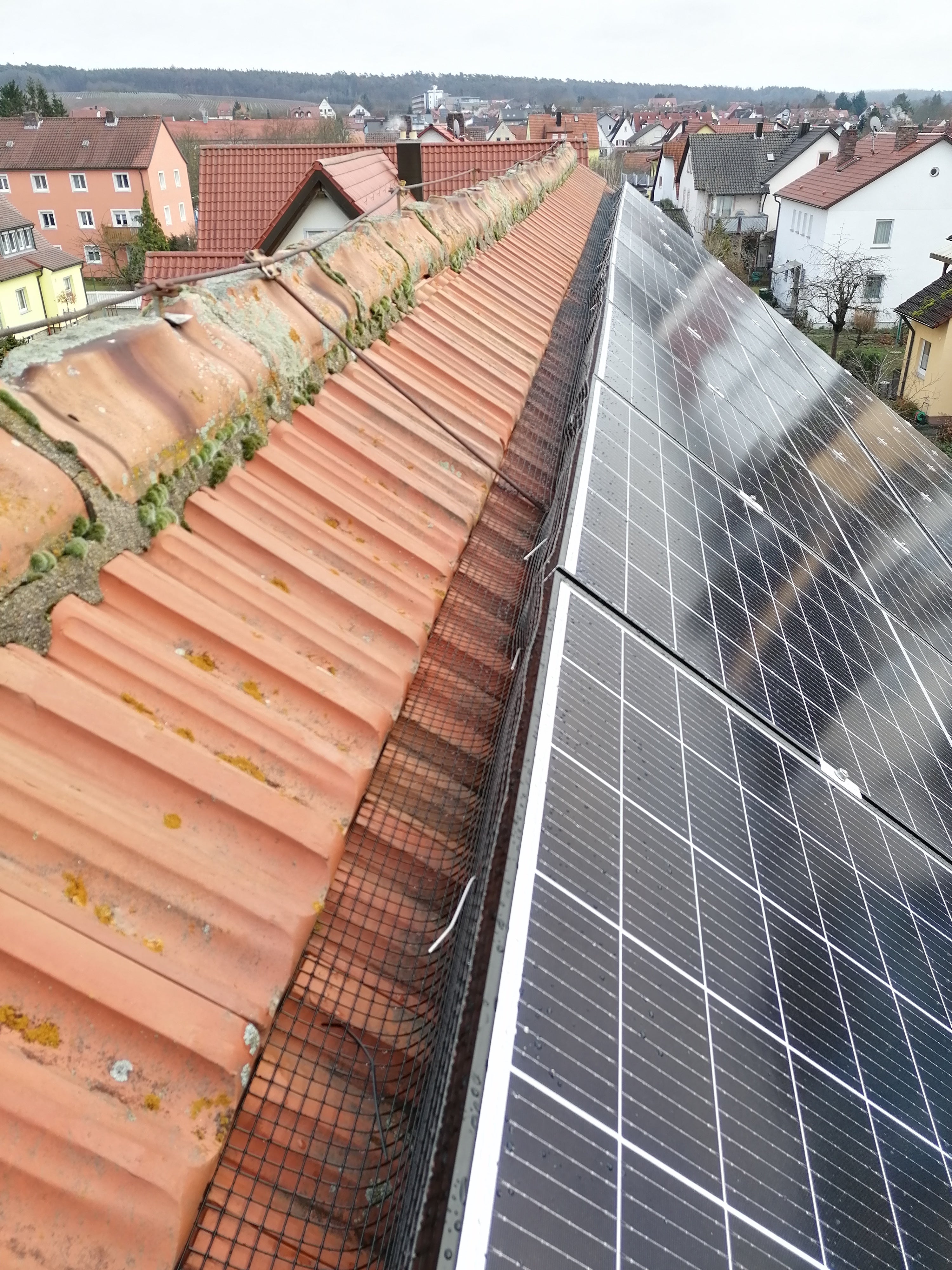 Solar-Marderschutz-Bürsten (Solaranlage/Dachrinne) in Sachsen