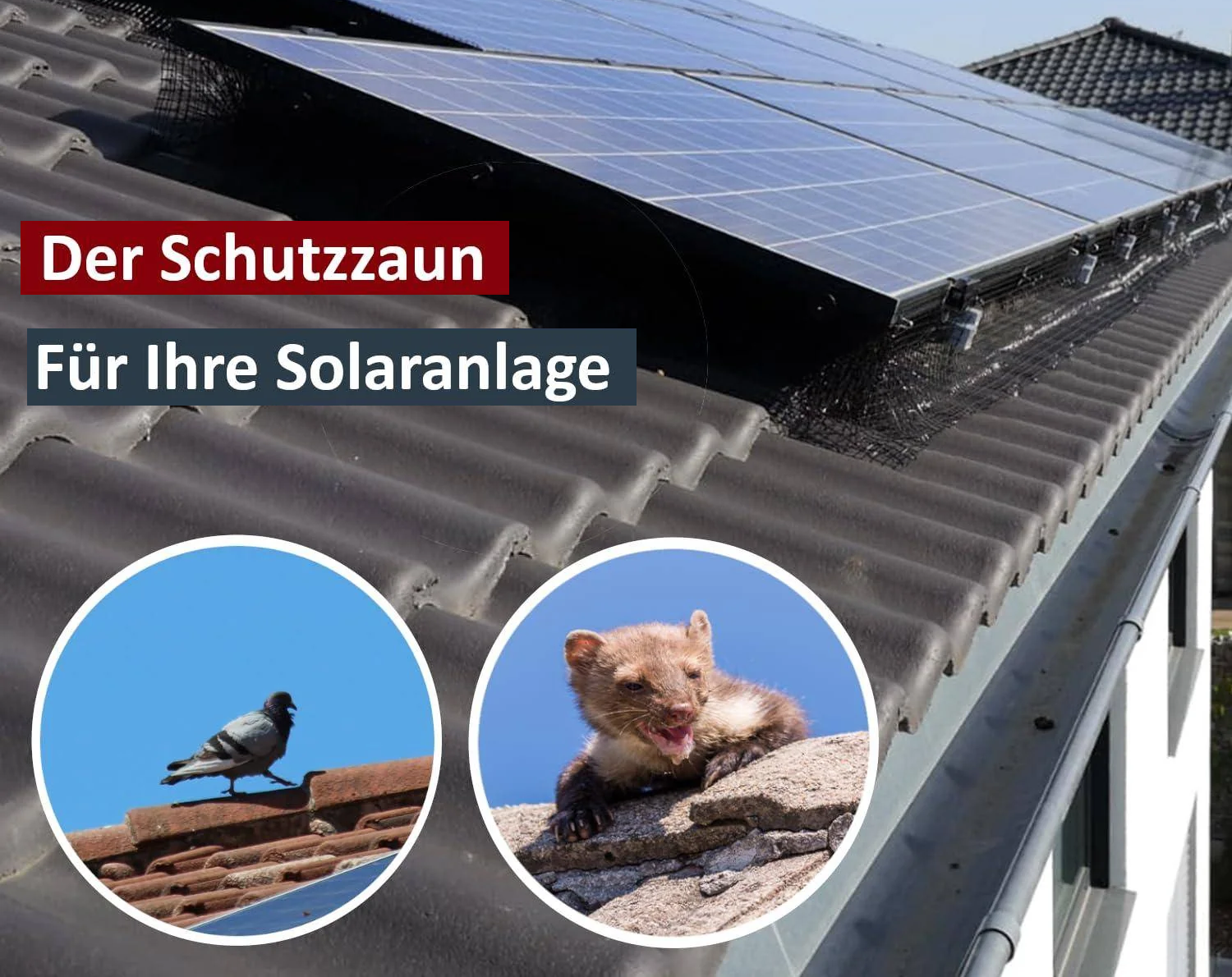 PV-Anlage mit montiertem Solarkäfig