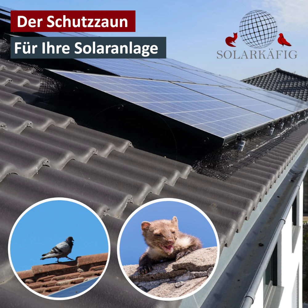 Solaranlage mit Solarkäfig installiert, zeigt effektiven Schutz vor Tauben und Mardern. Taube und Marder im Bild verdeutlichen den Schutz vor Schädlingen.